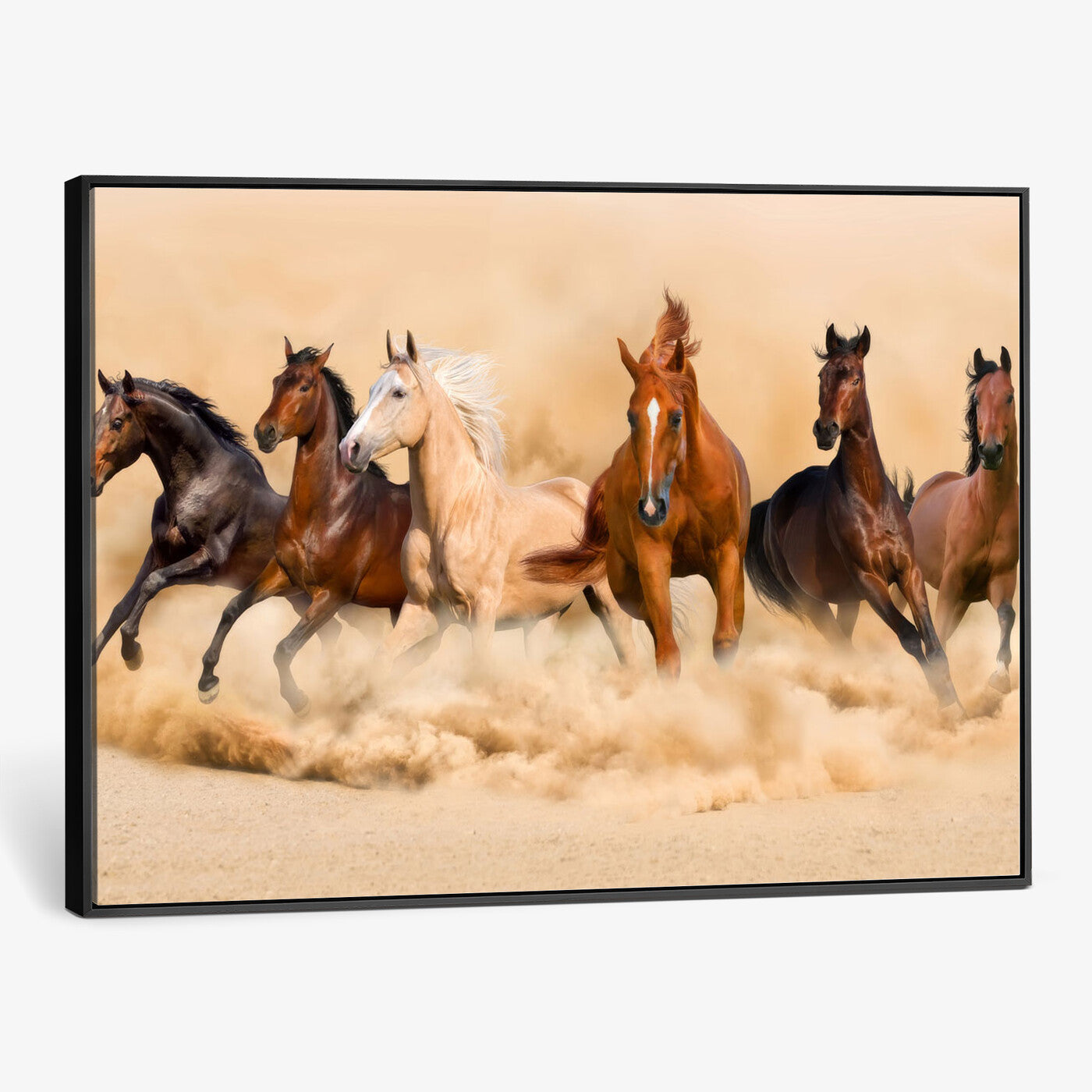 90610949-MGV-CV-36X24 - Herd of Six Wild Horses Galloping in Dust Storm Wall Art Canvas Print - Majestic Wildlife Decor