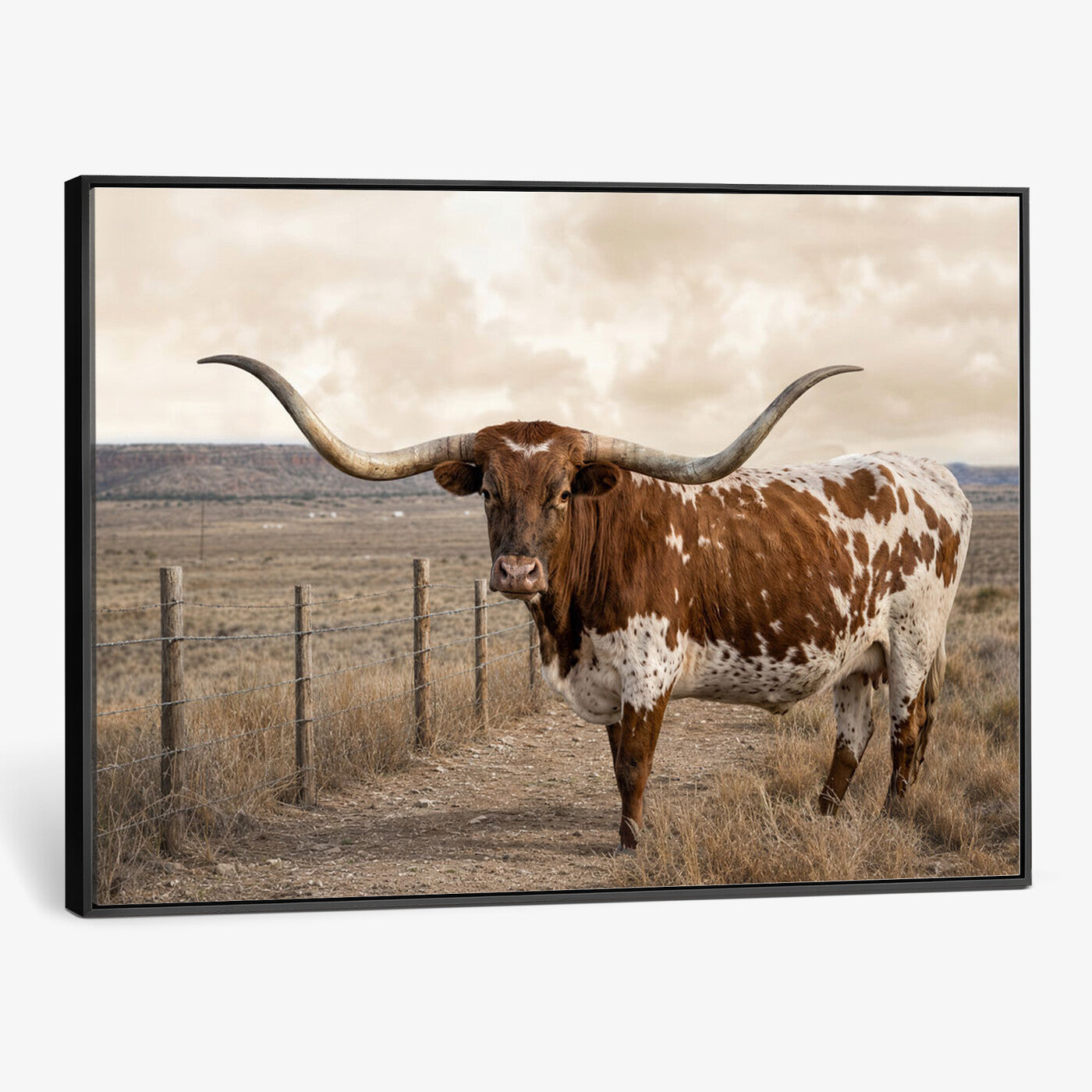 22808364-MGV-CV-36X24 - Texas Longhorn Cattle in Desert Pasture Wall Art Canvas Print - Rustic Western Decor
