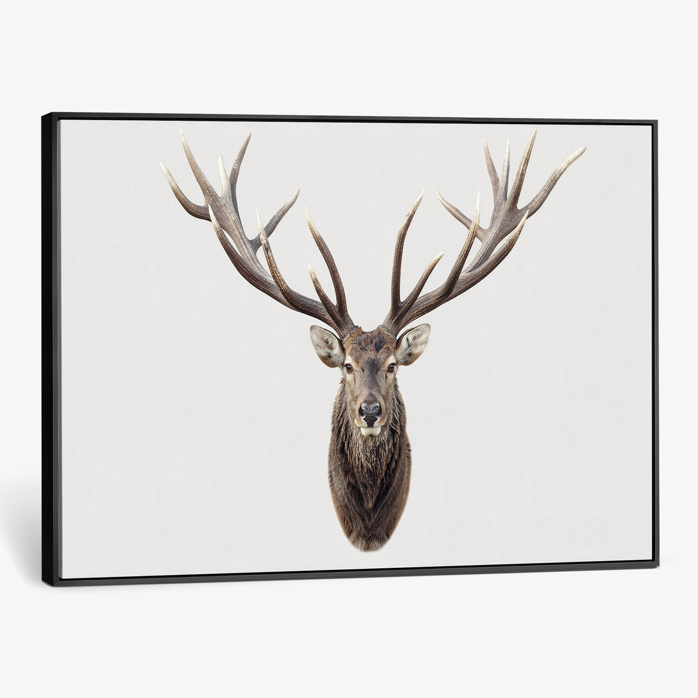 840173GY-MGV-CV-36X24 - Majestic Red Deer Canvas Wall Art – Stag Antlers Horns Print, Wildlife Hunting Poster, Rustic Cabin Lodge Decor