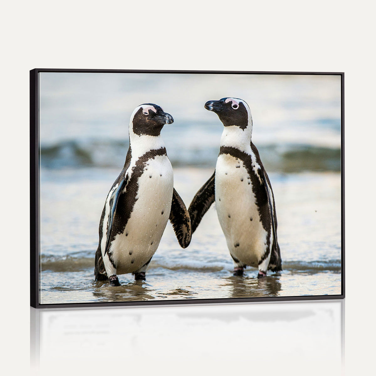 64870405-MGV-TP-30X20 - African Penguins Boulders Beach Wall Art Canvas Print, Cute Penguin Couple Photo Print
