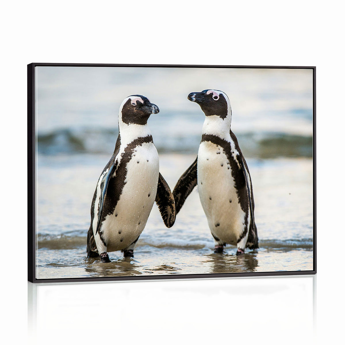 64870405-MGV-TP-30X20 - African Penguins Boulders Beach Wall Art Canvas Print, Cute Penguin Couple Photo Print