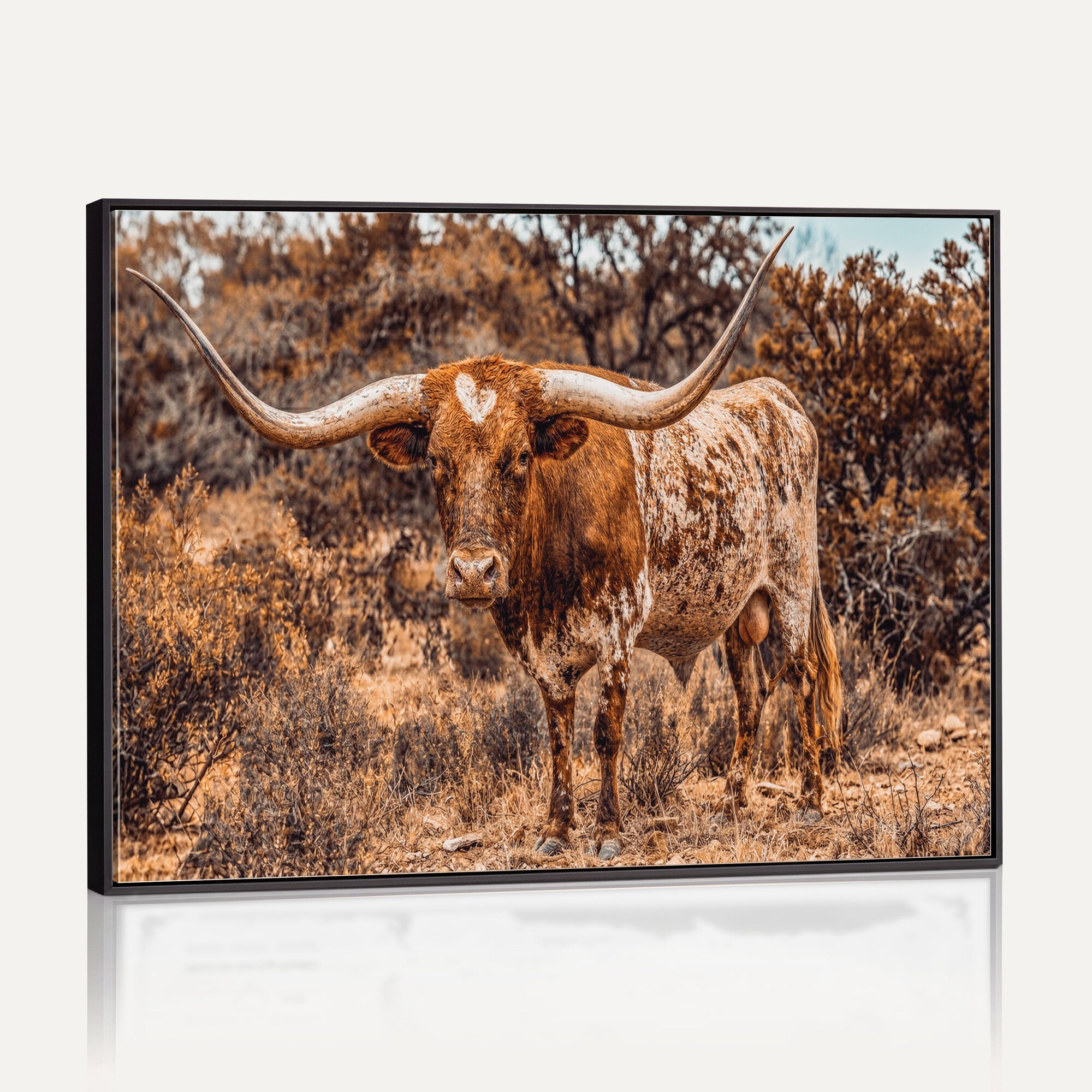 62076449-MGV-CV-36X24 - Texas Cow Bull Longhorn Print for Western Wall Art Decor for Farmhouse