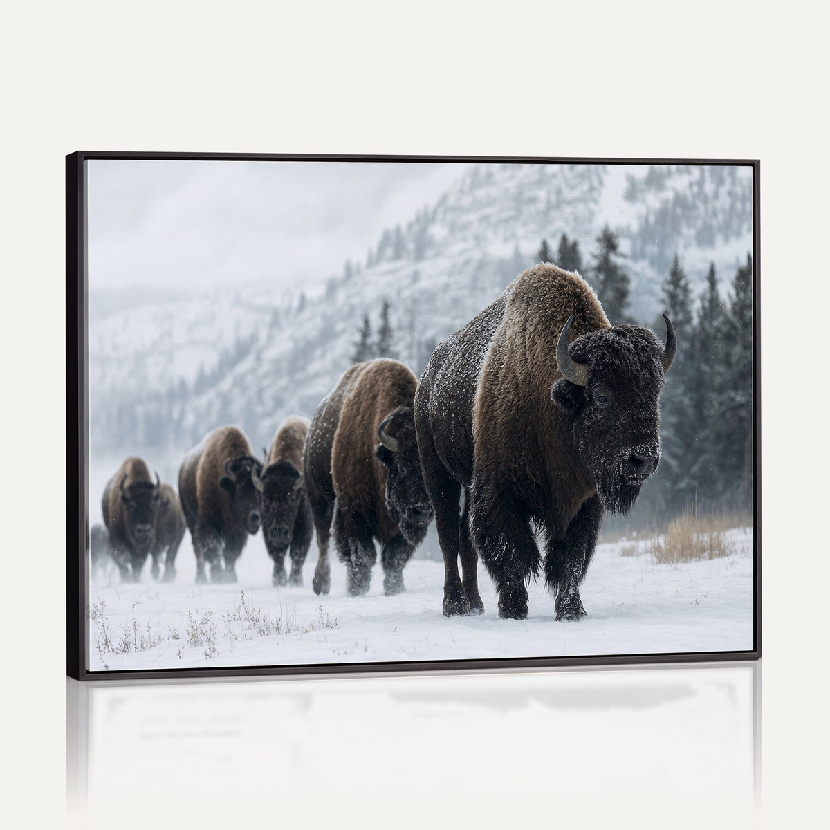 18343289-MGV-CV-36X24 - Rustic Bison Wall Art, American Buffalo Photo Print, Wildlife Canvas Artwork, Snowy Mountain Decor, Large Nature Poster, Cabin Gift Idea