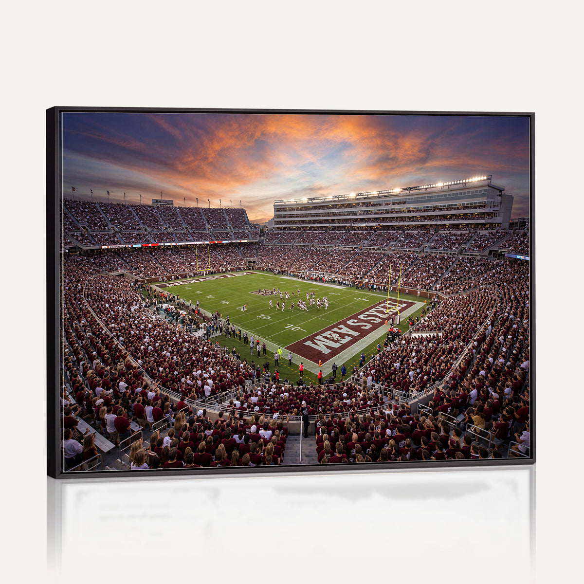 66624578-MGV-CV-36X24 - Stadium Wall Art Canvas Print