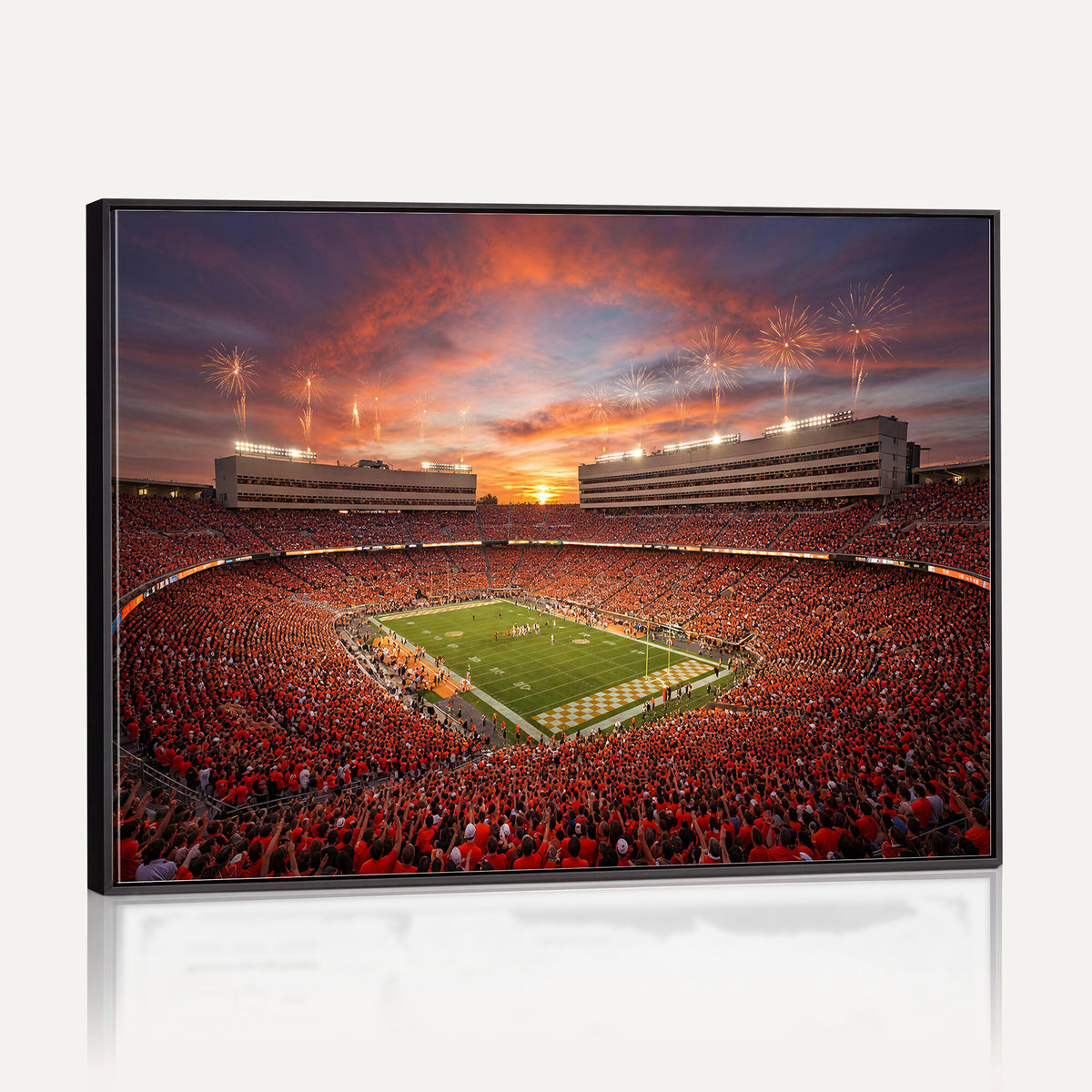 66964685-MGV-CV-36X24 - Stadium Wall Art Canvas Print