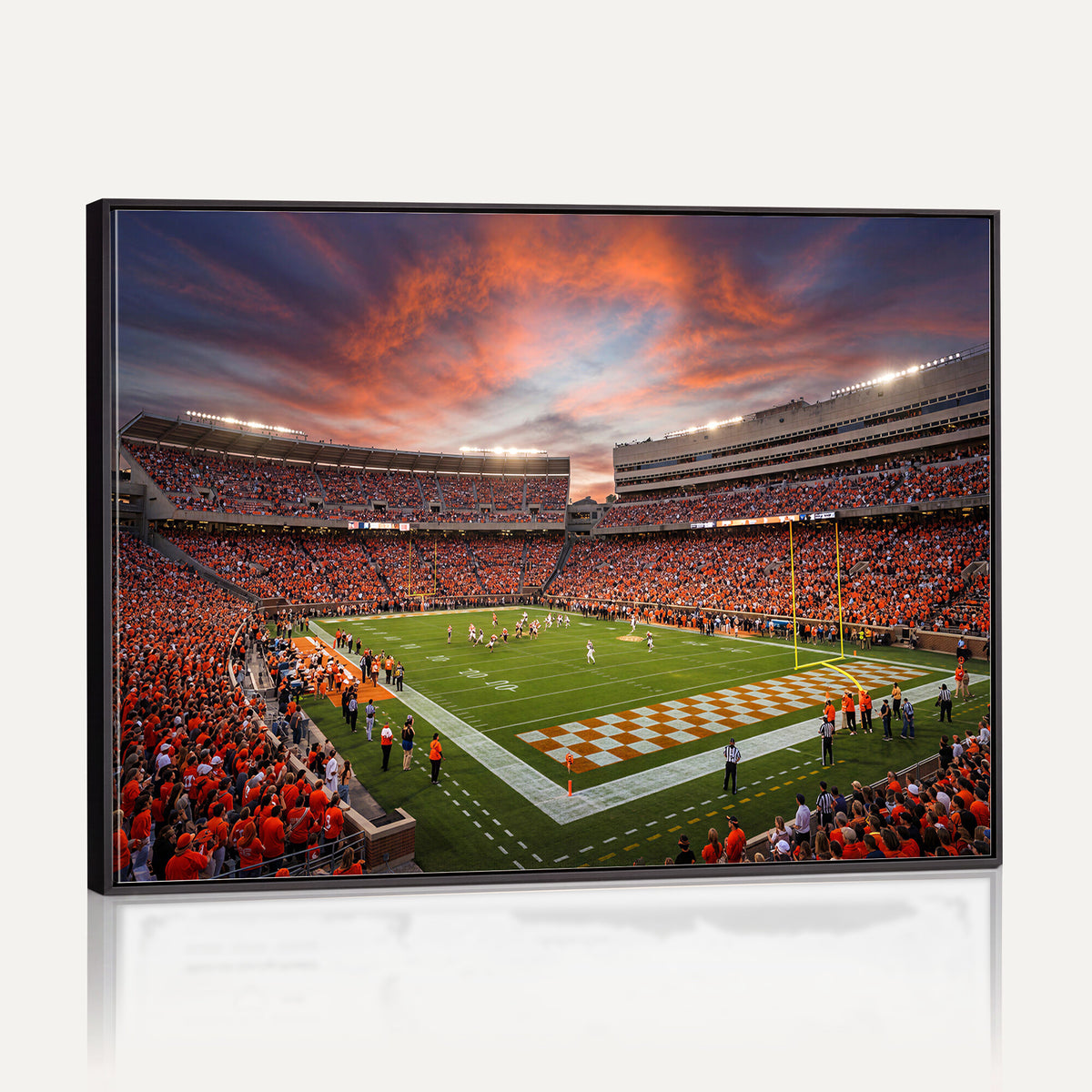67648335-MGV-CV-36X24 - Stadium Wall Art Canvas Print