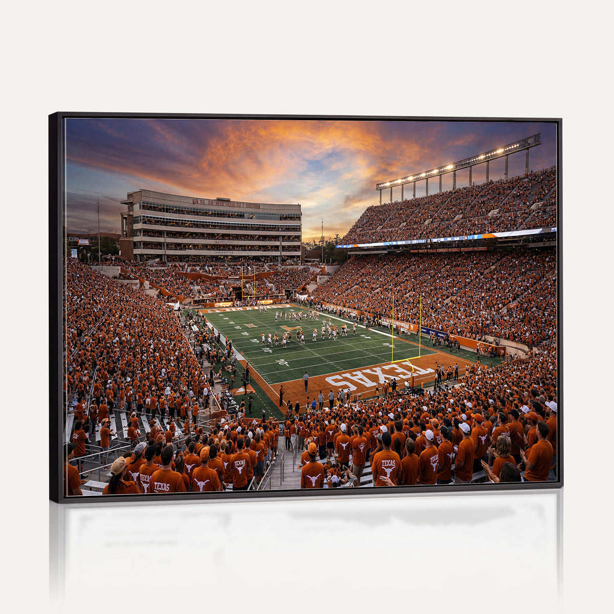 23560699-MGV-CV-36X24 - Stadium Wall Art Canvas Print