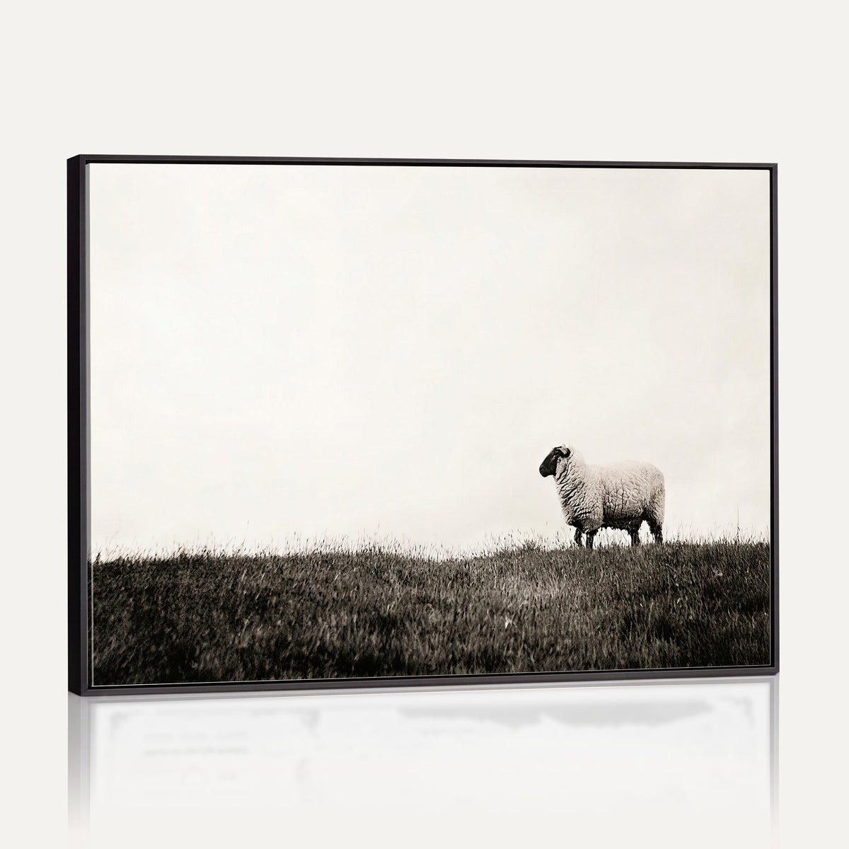 72749448-MGV-TP-30X20 - Minimalist Sepia Sheep Canvas Wall Art - Rustic Farmhouse Country Landscape Print