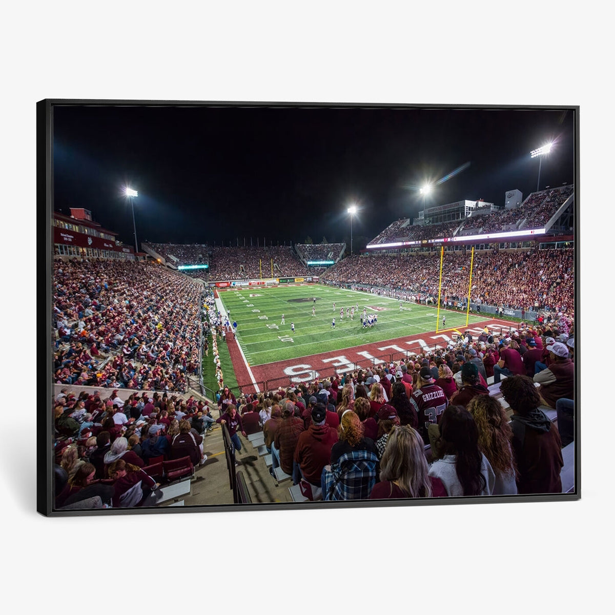 56191-MGV-CV-36X24 - Washington Grizzly Stadium American Football Wall Art Canvas Print, Sports Wall Art Print, Game Room Decor-1
