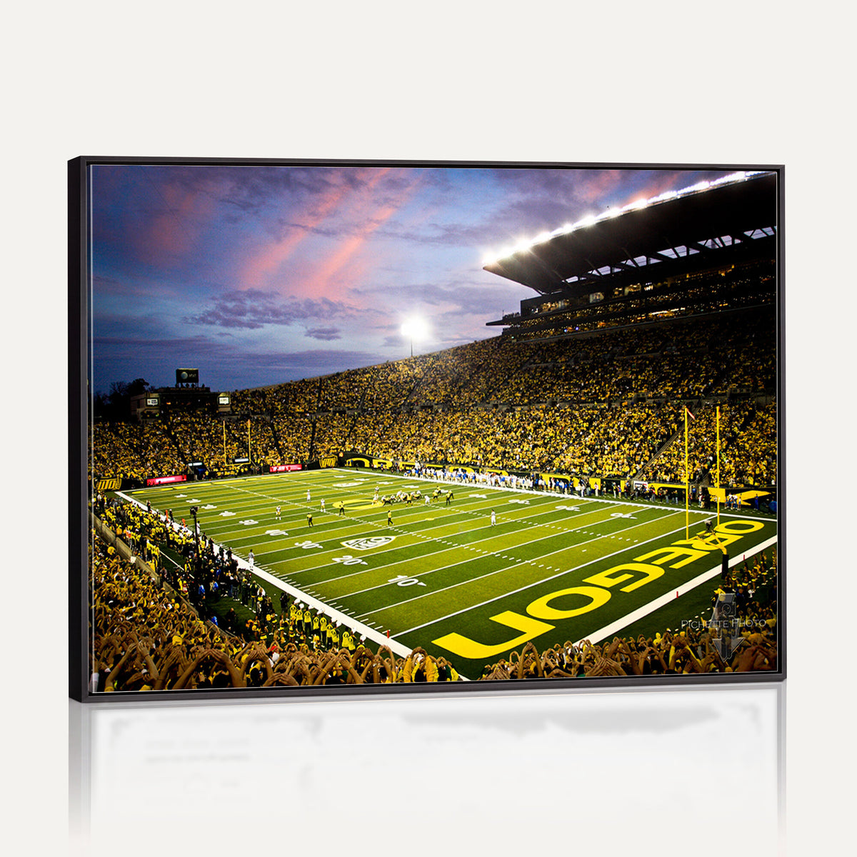 72017-MGV-CV-36X24 - University of Oregon Ducks Football Team Print, Eugene, Framed and Ready to Hang