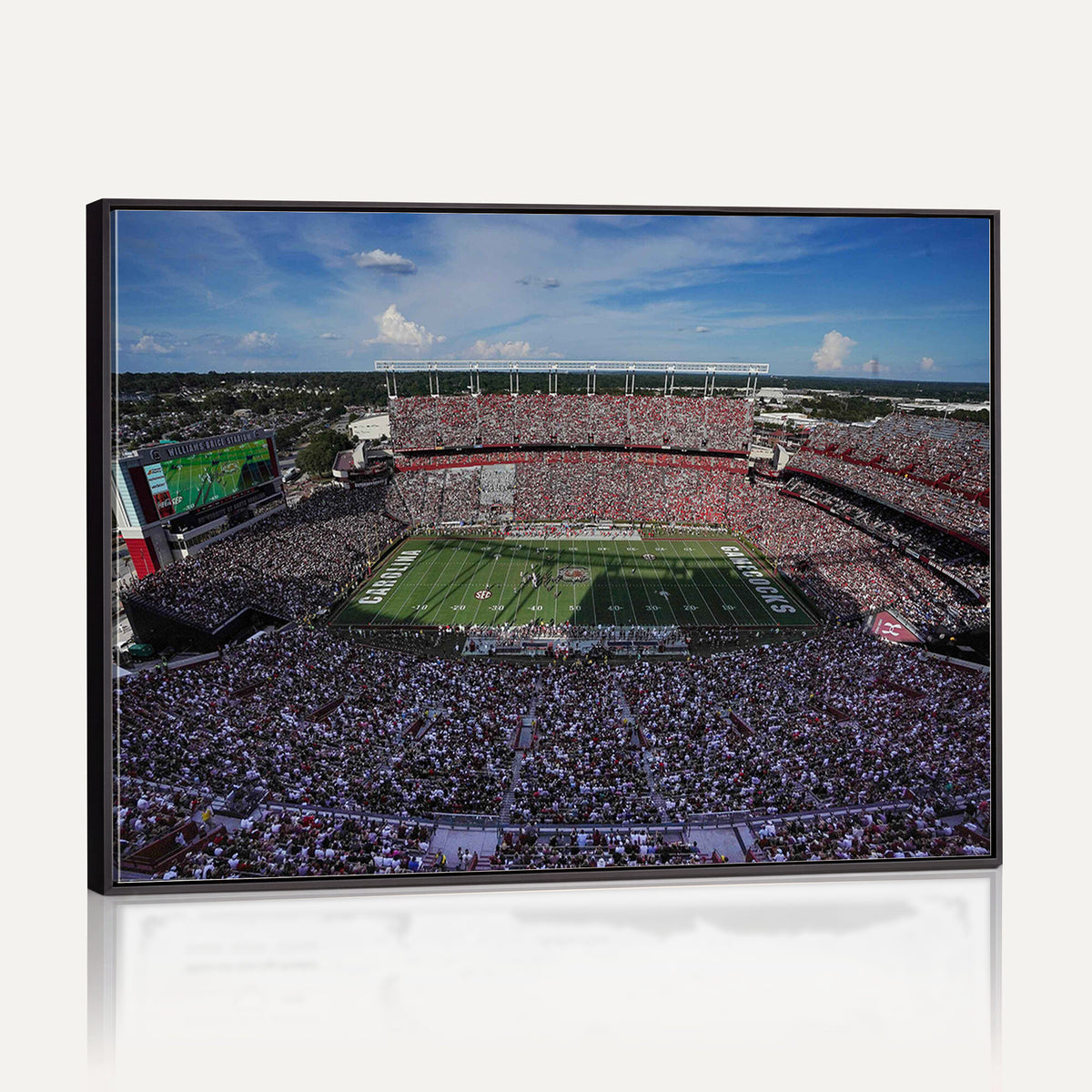83382-MGV-CV-36X24 - South Carolina Gamecocks Football Team Print, Columbia Williams-Brice Stadium Wall Art