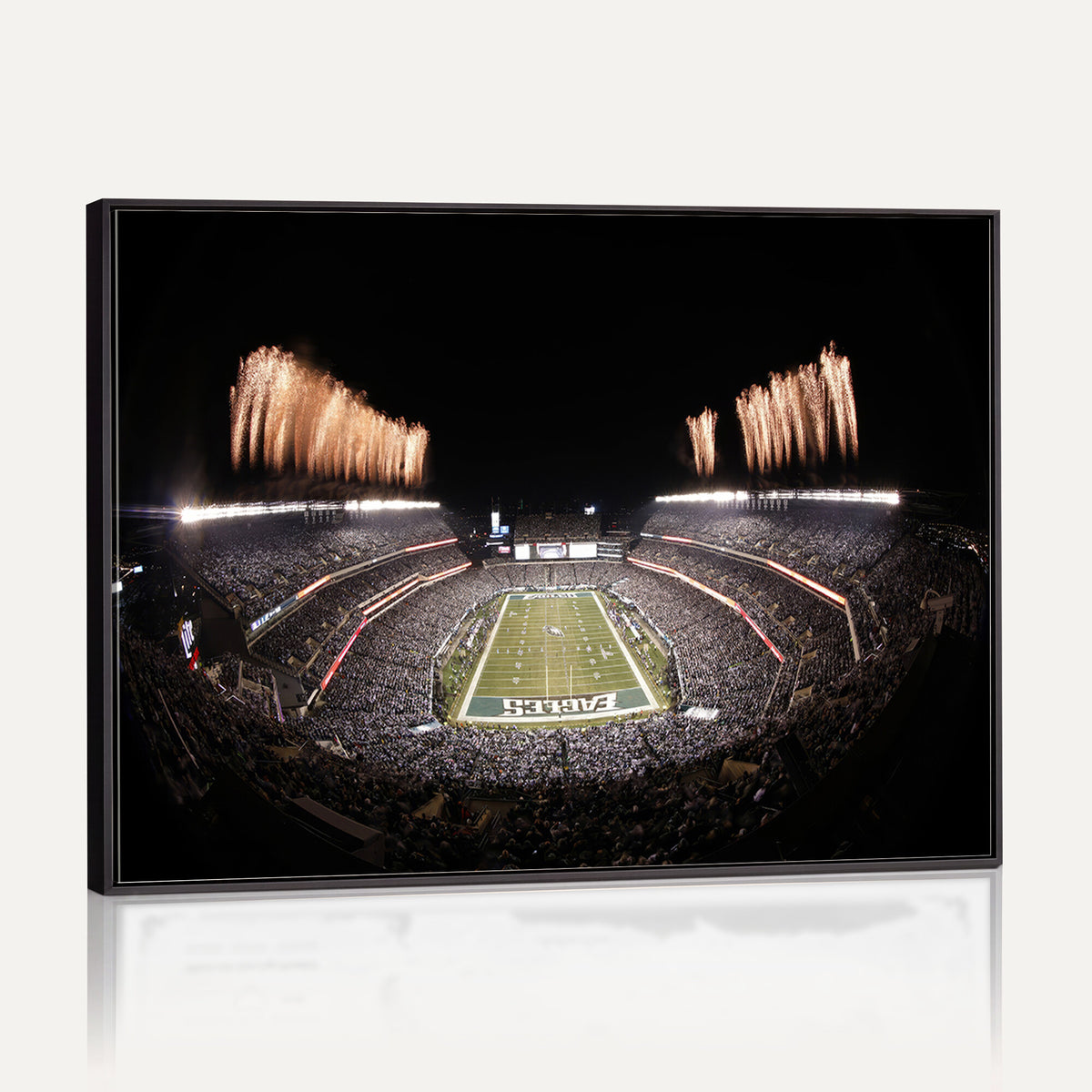 48893-MGV-CV-36X24 - Eagles Field Stadium Wall Art, Lincoln Financial Field