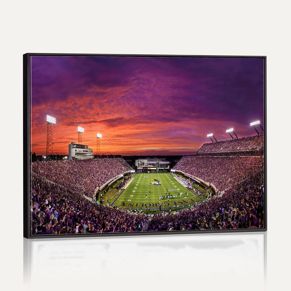 88575-MGV-CV-36X24 - East Carolina University Pirates Football Print Canvas- Greenville Dowdy-Ficklen Stadium Wall Art