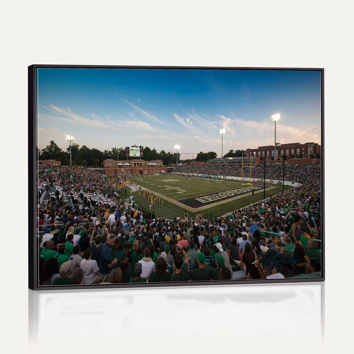 12290-MGV-CV-36X24 - University of Charlotte 49ers Football Team Print - Charlotte Jerry Richardson Stadium Wall Art