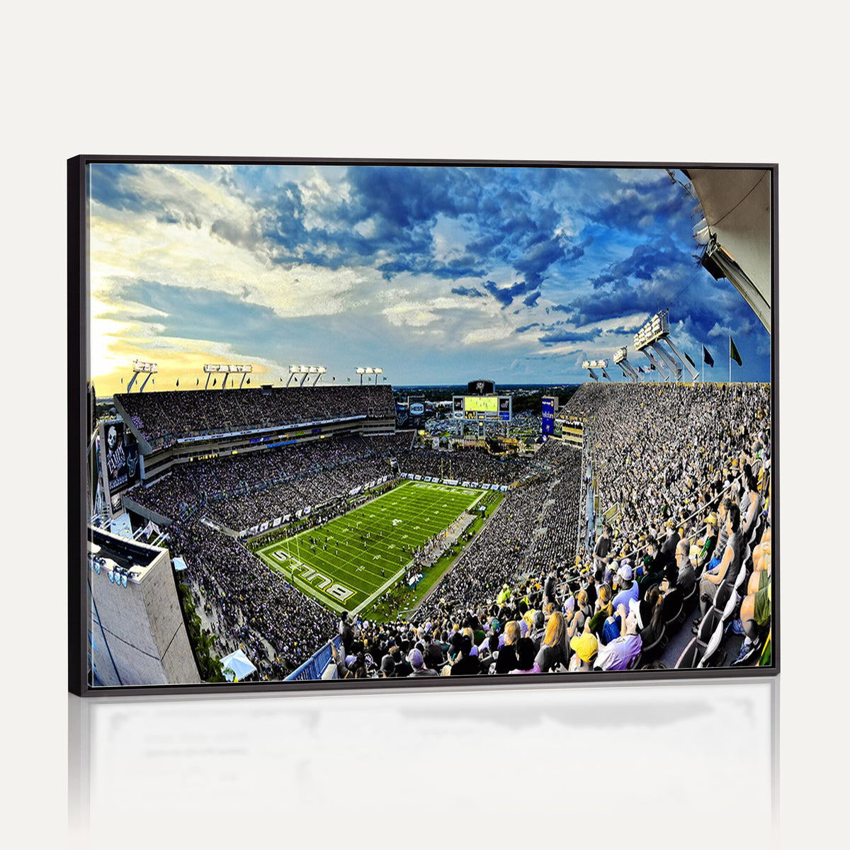 23788-MGV-CV-36X24 - Framed USF Bulls Football Team Print - Tampa Raymond James Stadium Wall Art Canvas Print