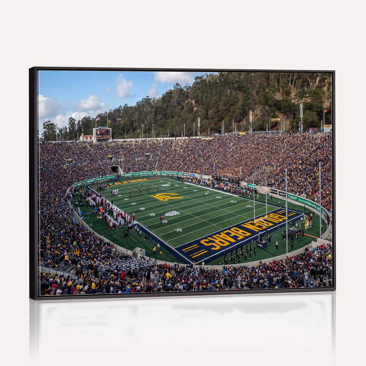 38054-MGV-CV-36X24 - University of California Golden Bears Football Team Print - Berkeley California Memorial Stadium Art