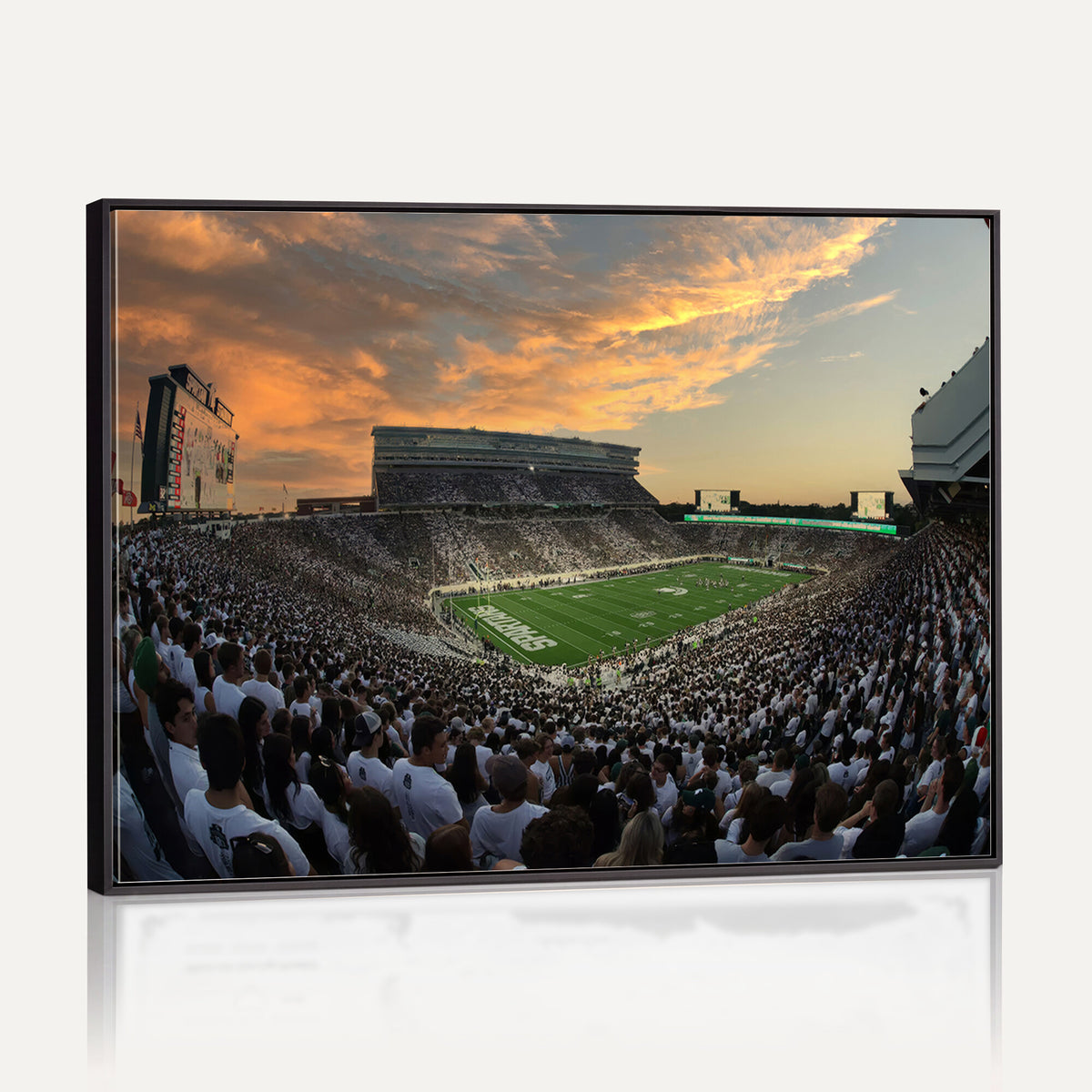 99155-PAN-FL-20X10 - Michigan State Spartans Football Team Print - East Lansing Spartan Stadium Wall Art Canvas Print