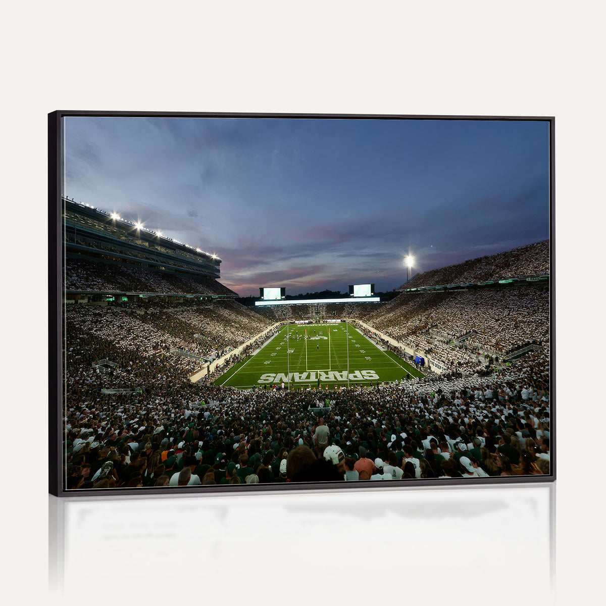 90831-PAN-FL-20X10 - Michigan State Spartans Football Team Print - East Lansing Spartan Stadium Canvas Print