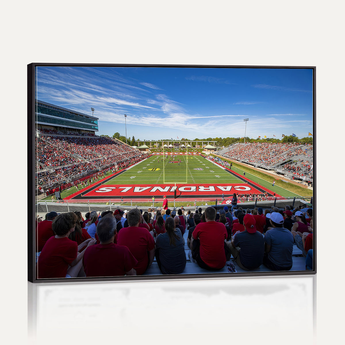 71475-PAN-FL-20X10 - Ball State Cardinals Football Team Print - Muncie Scheumann Stadium Wall Art Canvas Print