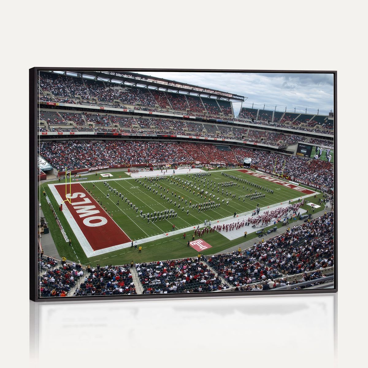 15310-PAN-FL-20X10 - The Temple University Owls Athletics Team Print - Philadelphia Lincoln Financial Field Stadium Wall