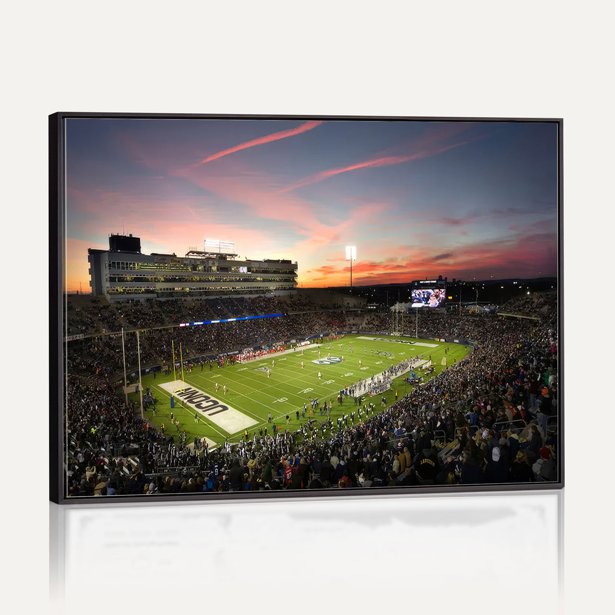 64416-MGV-CV-36X24 - The University of Connecticut UCONN Huskies Football Team Print, Framed and Ready to Hang