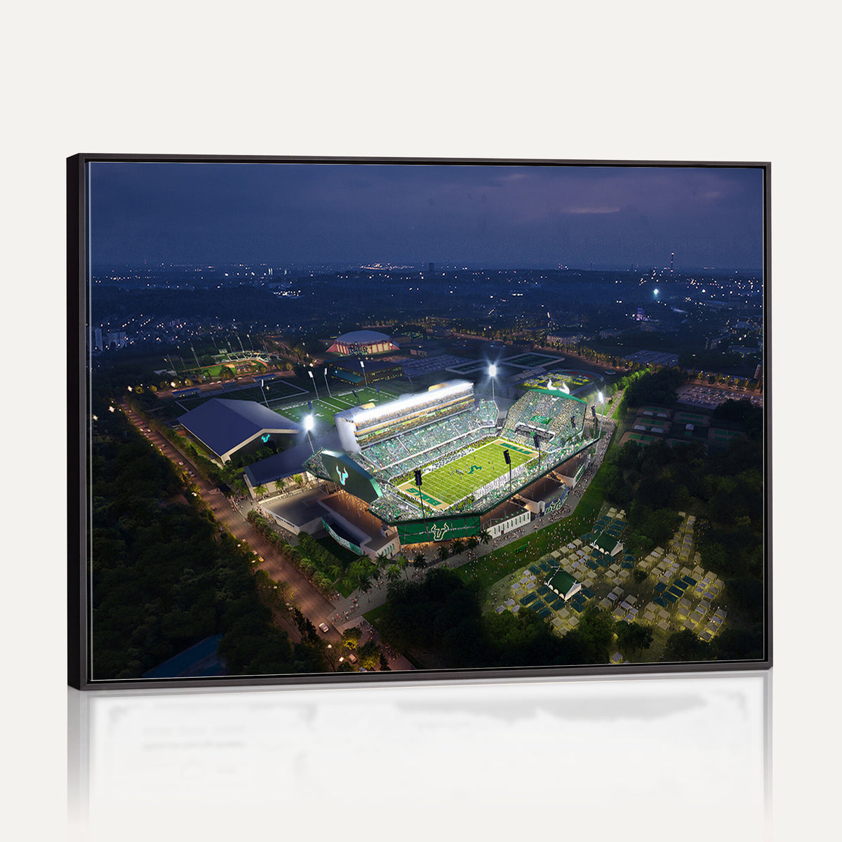 27554-MGV-CV-36X24 - The University of South Florida Bulls Football Team Print