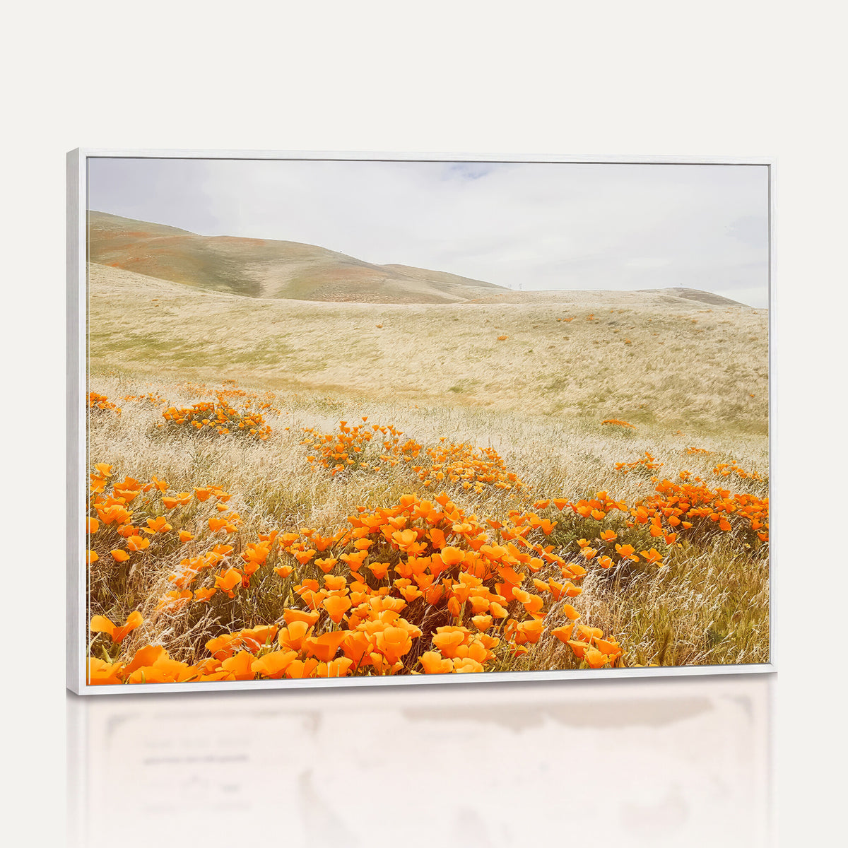 28972262-_Poster-30x20 - Golden Wildflowers Wall Art Canvas Print, Framed Hills and Poppy Meadow Scene
