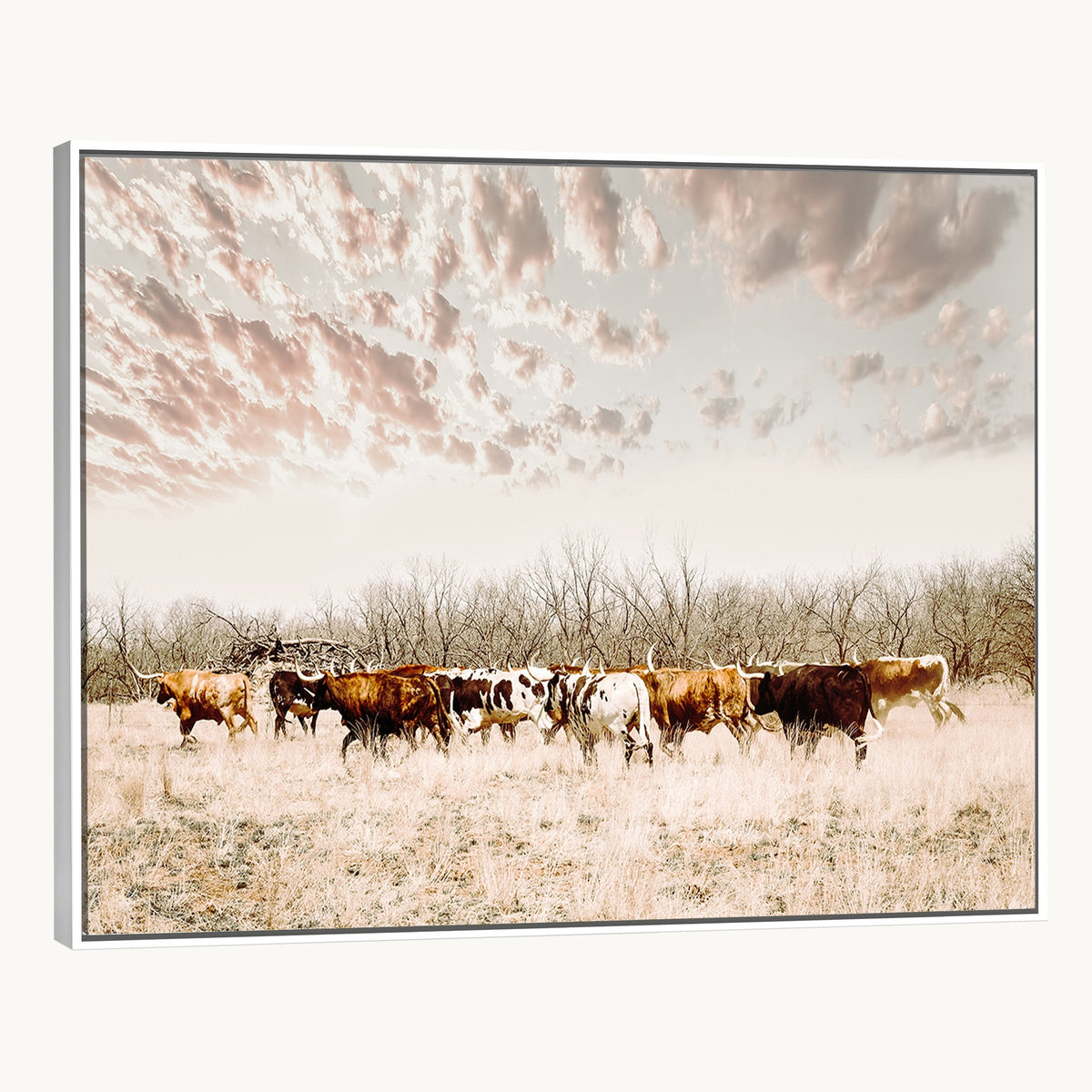 64892775-MGV-CV-24X16 - Longhorn Cattle Wall Art Canvas Print, Framed Texas Ranch Art, Western Cow Print, Prairie Landscape Decor