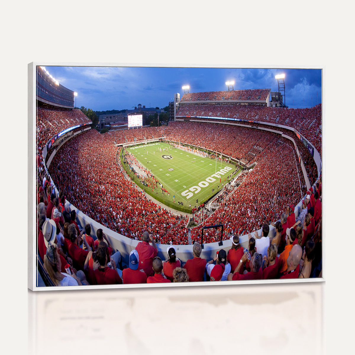 10244378-MGV-CV-36X24 - Dooley Stadium Wall Art, Sports Arena Canvas Print, Dooley Field, Home Bar Wall Decor