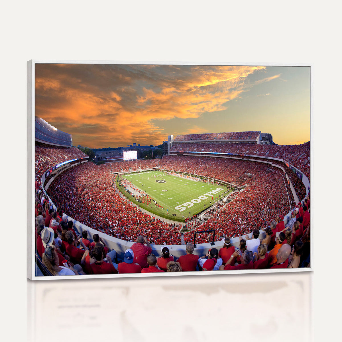 73680988-MGV-CV-36X24 - Dooley Stadium Wall Art, Sports Arena Canvas Print, Dooley Field, Framed and Ready to Hang