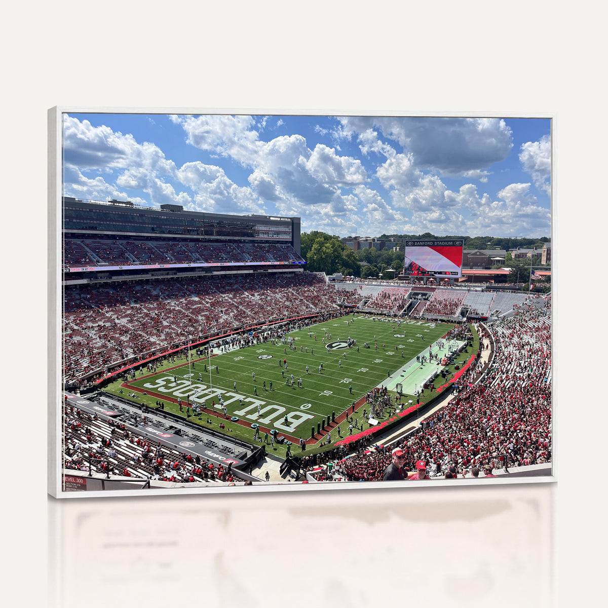 10665453-MGV-CV-36X24 - Georgia Bulldogs Stadium Wall Art Canvas Print, Sanford, Framed and Ready to Hang