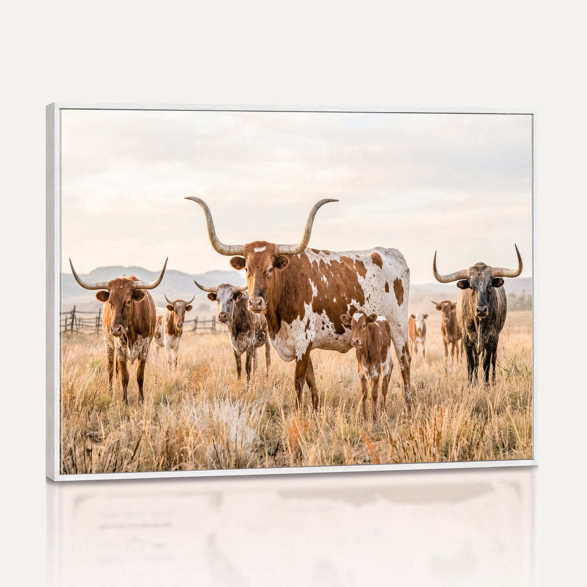 62336425AC-MGV-CV-36X24 - Texas Longhorn Canvas Wall Art, Rustic Farm Animal Photography Print, Farmhouse Country Decor, Western Ranch Art