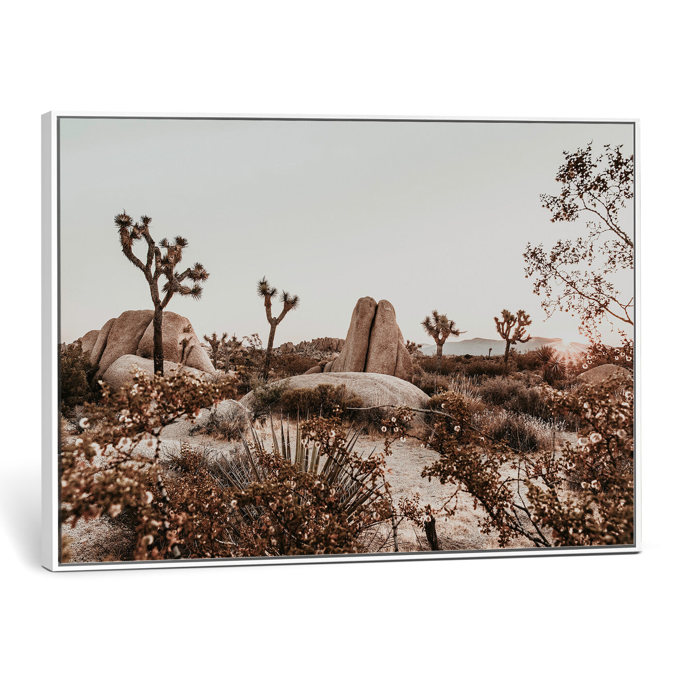 75778944-MGV-CV-36X24 - Joshua Tree Desert Canvas Wall Art Print - Desert Landscape Photography, Boho Southwest Wall Decor, Nature Canvas - Ready to Hang