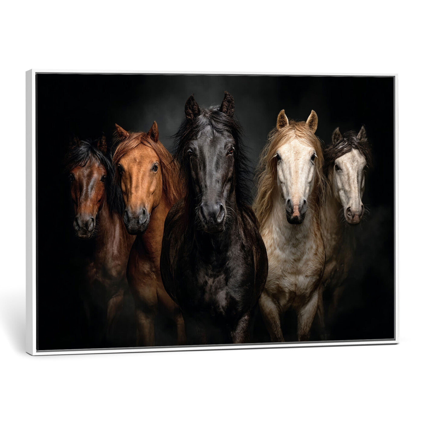 77696206-MGV-CV-36X24 - Horse Wall Art Canvas Print | Wild Horses Portrait Photography, Animal Horse Decor, Black Brown White Horse Herd