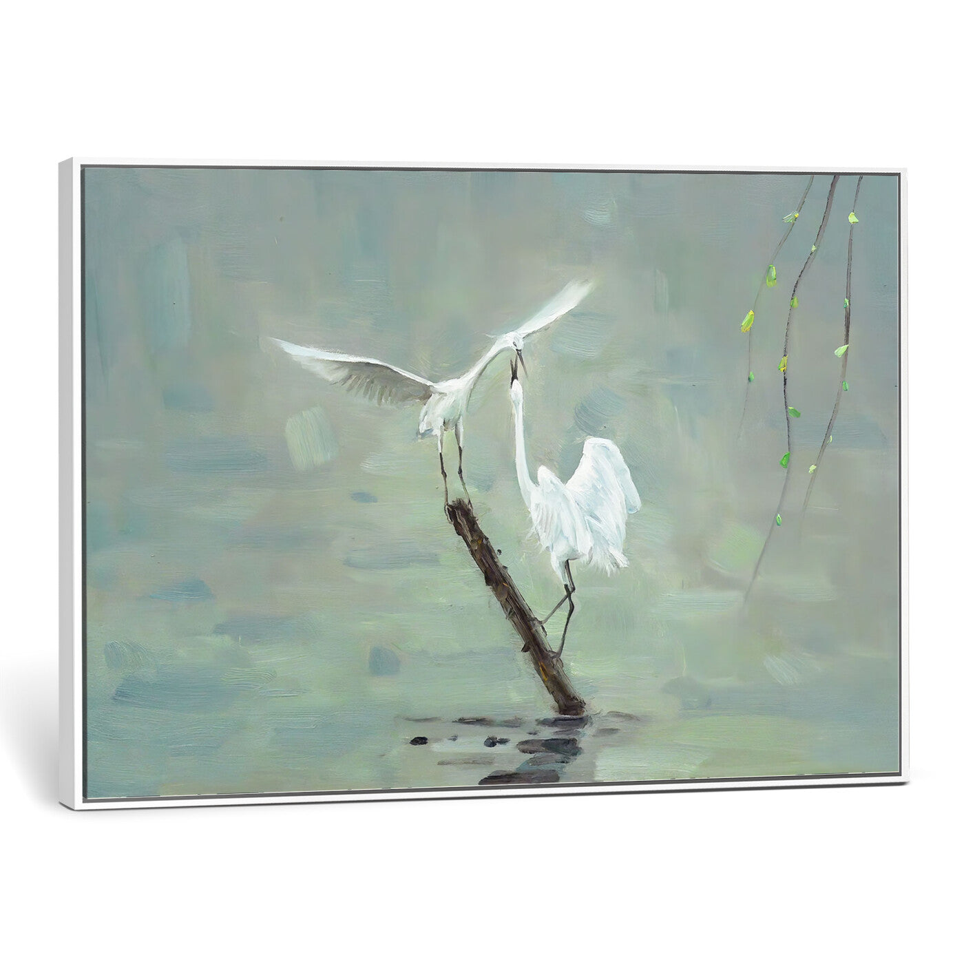 91124838-MGV-CV-36X24 - Two White Egrets on Marsh Branch Wall Art Canvas Print - Vintage Style Coastal Bird Poster