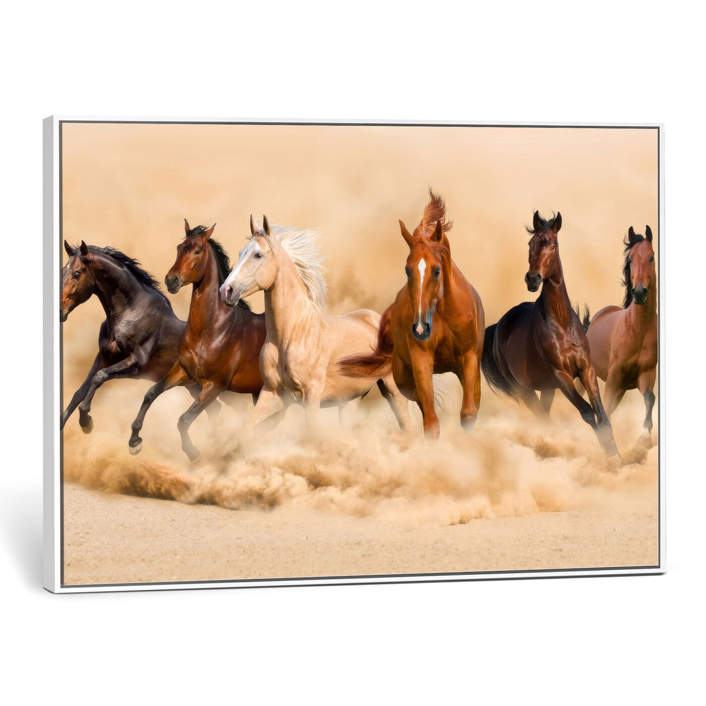 90610949-MGV-CV-36X24 - Herd of Six Wild Horses Galloping in Dust Storm Wall Art Canvas Print - Majestic Wildlife Decor