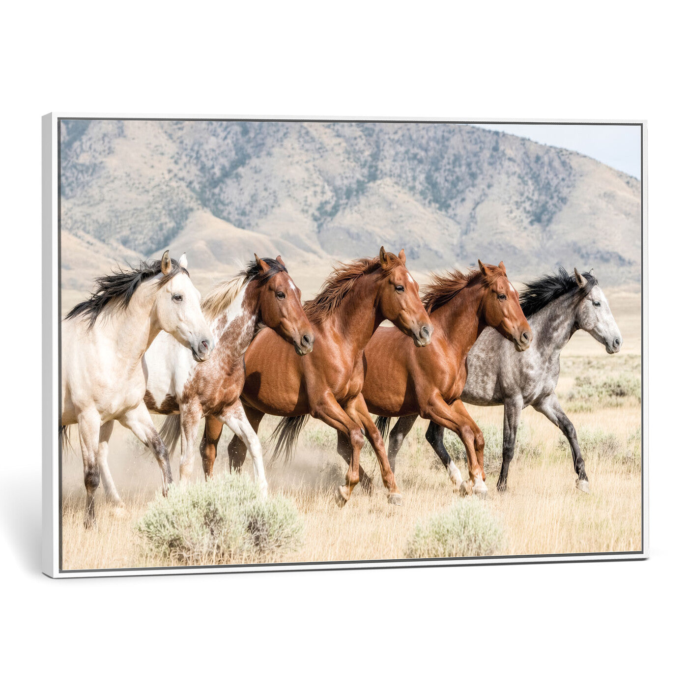 68345893-MGV-CV-36X24 - Five Mustangs Running Wild in Mountain Valley Wall Art Canvas Print - Rustic Western Decor
