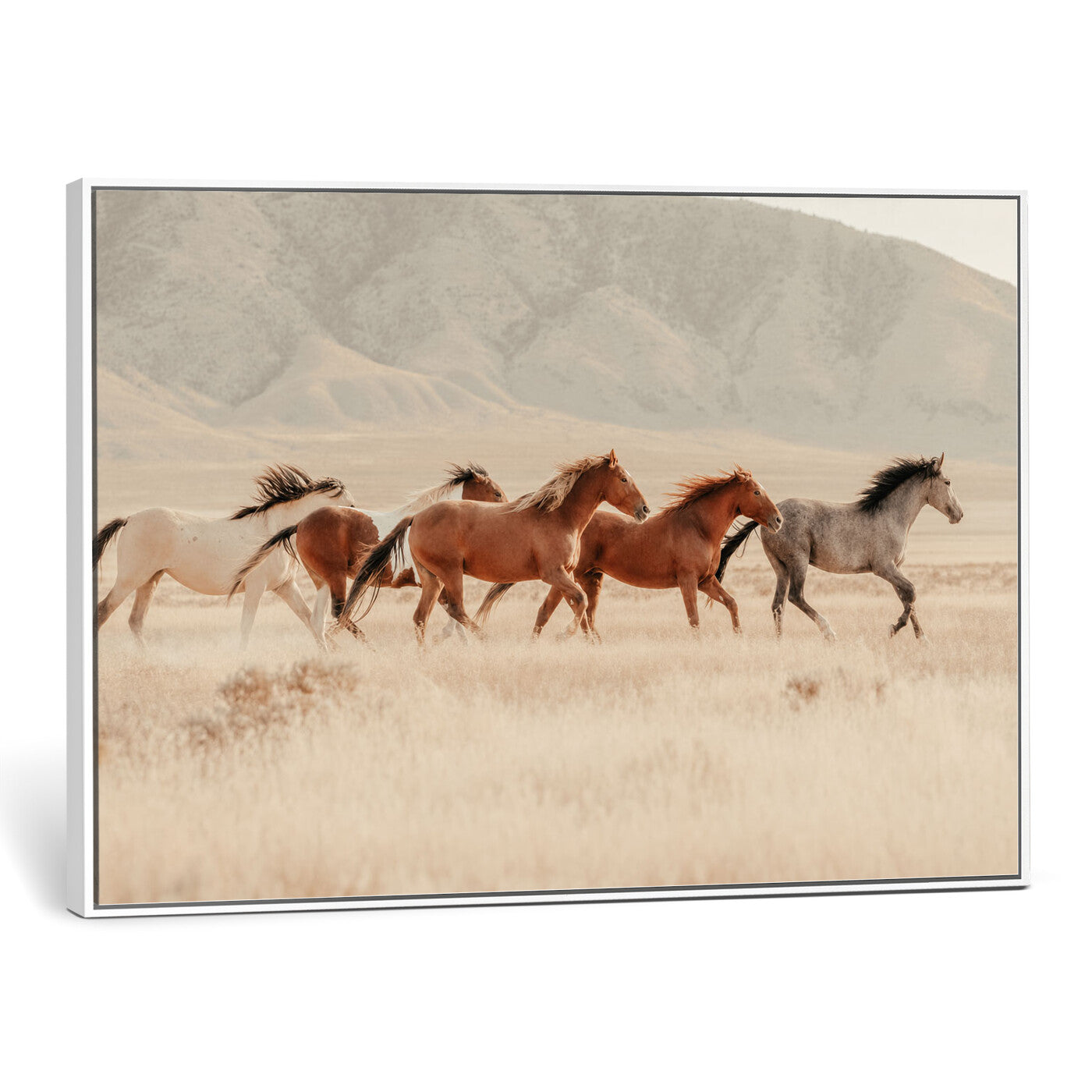 43348446-MGV-CV-36X24 - Herd of Wild Horses Running in Desert Mountain Wall Art Canvas Print - Boho Western Landscape