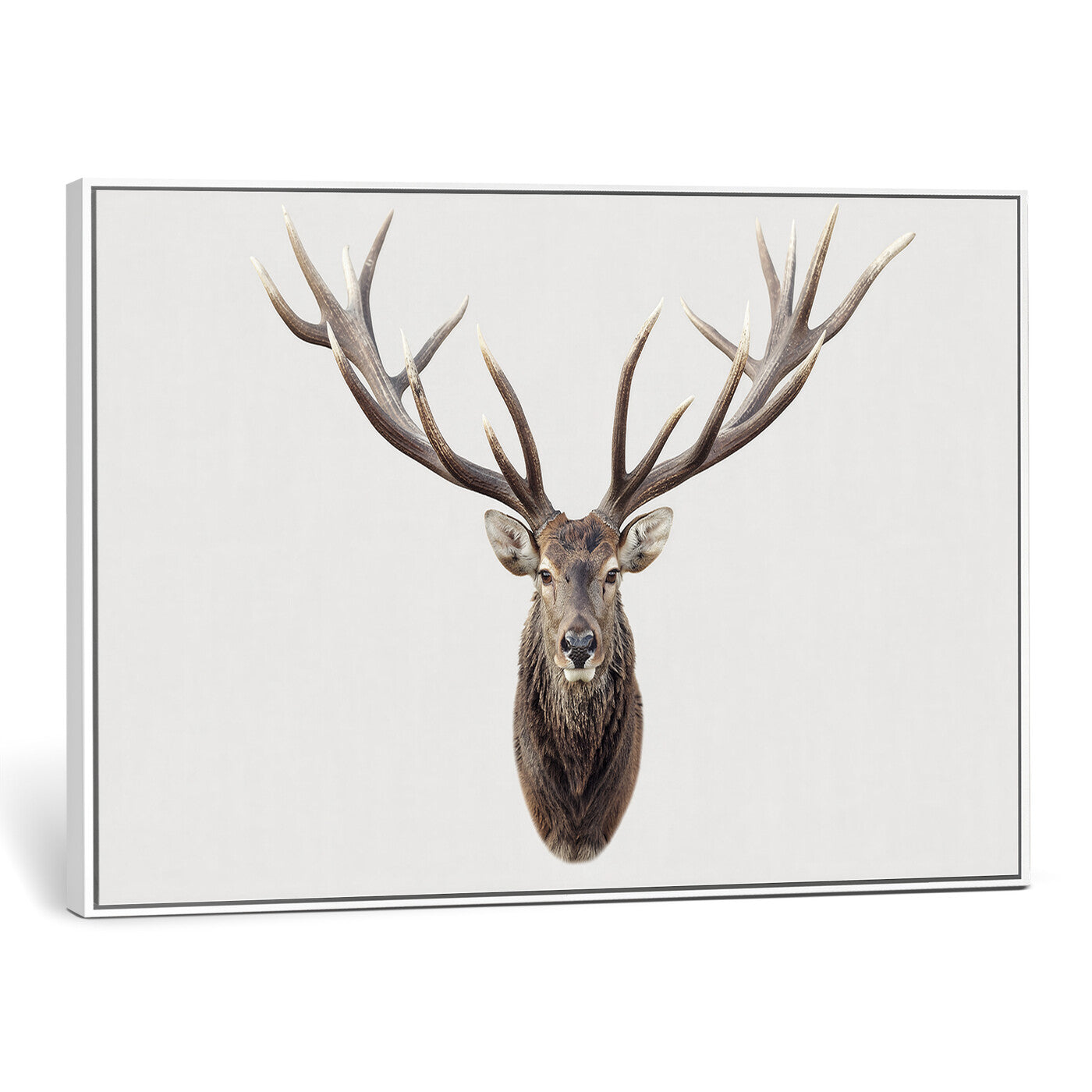 840173GY-MGV-CV-36X24 - Majestic Red Deer Canvas Wall Art – Stag Antlers Horns Print, Wildlife Hunting Poster, Rustic Cabin Lodge Decor