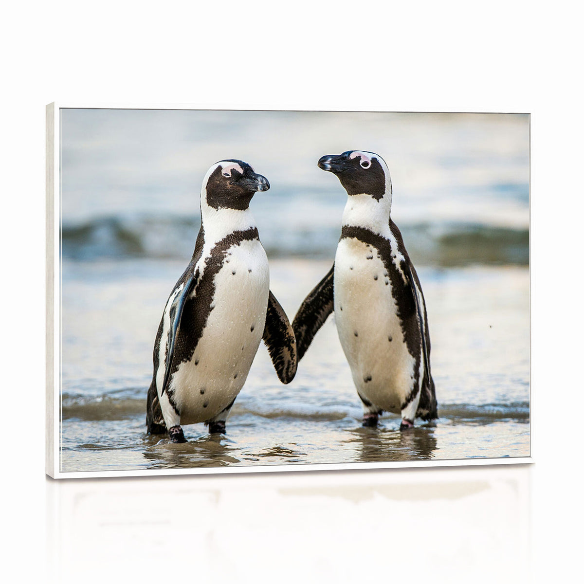 64870405-MGV-TP-30X20 - African Penguins Boulders Beach Wall Art Canvas Print, Cute Penguin Couple Photo Print