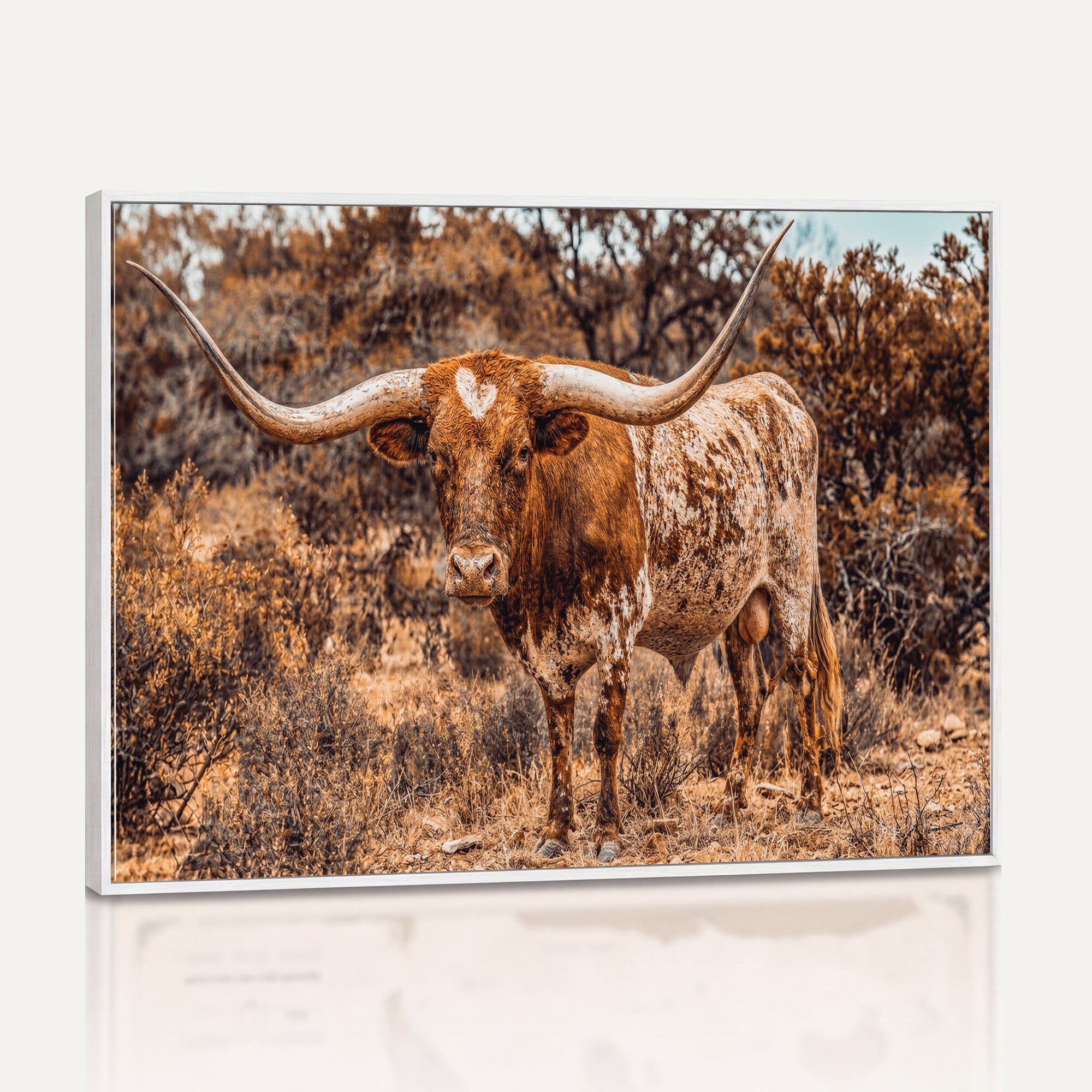 62076449-MGV-CV-36X24 - Texas Cow Bull Longhorn Print for Western Wall Art Decor for Farmhouse