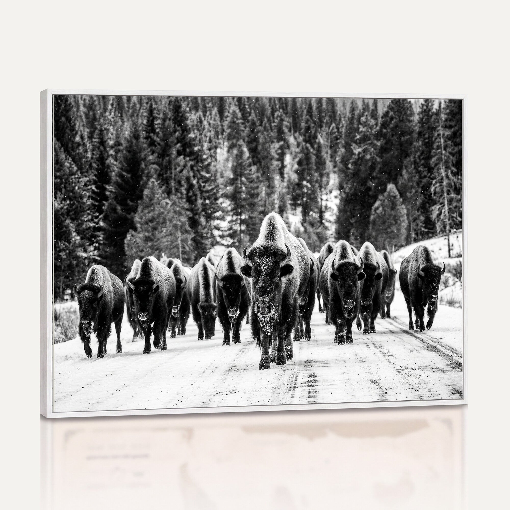 79337077-MGV-CV-36X24 - Black and White Bison Canvas Art, American Buffalo Print, Winter Wildlife Photography, Rustic Forest Wall Decor, Large Statement Nature Gift