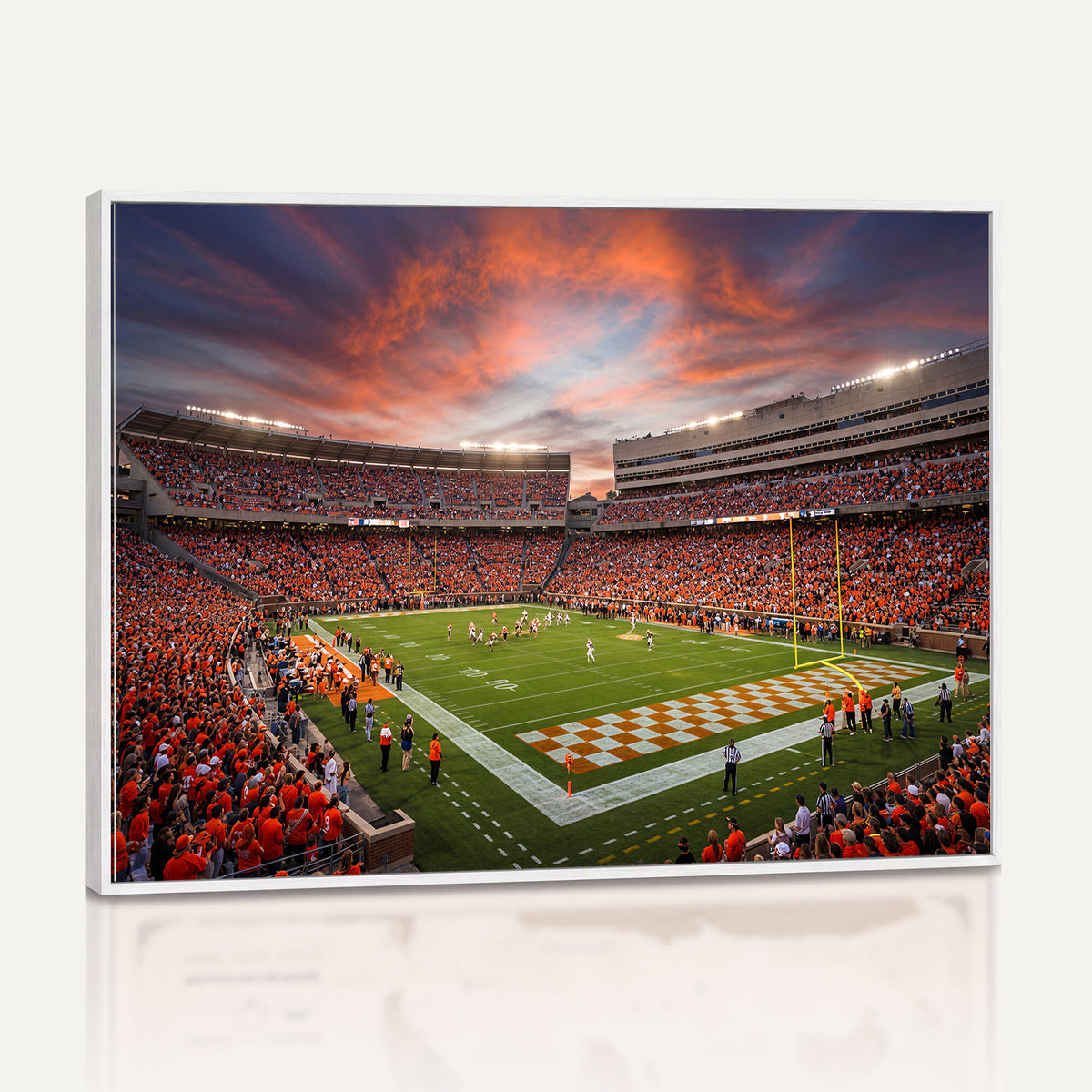 67648335-MGV-CV-36X24 - Stadium Wall Art Canvas Print