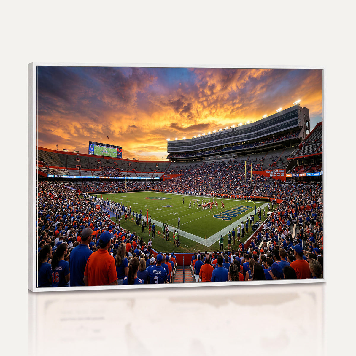 23829865-MGV-CV-36X24 - Stadium Wall Art Canvas Print