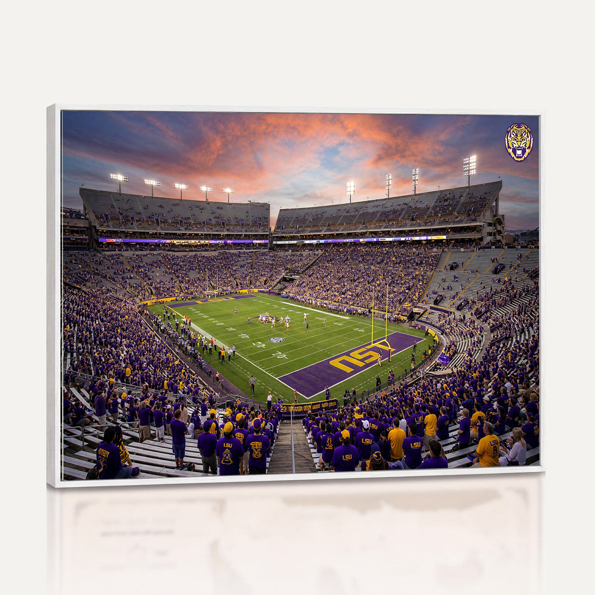 20281385-MGV-CV-36X24 - Stadium Wall Art Canvas Print