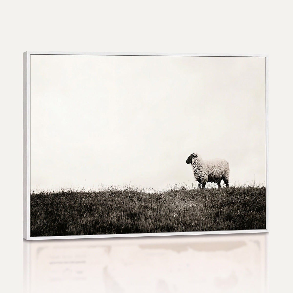 72749448-MGV-TP-30X20 - Minimalist Sepia Sheep Canvas Wall Art - Rustic Farmhouse Country Landscape Print