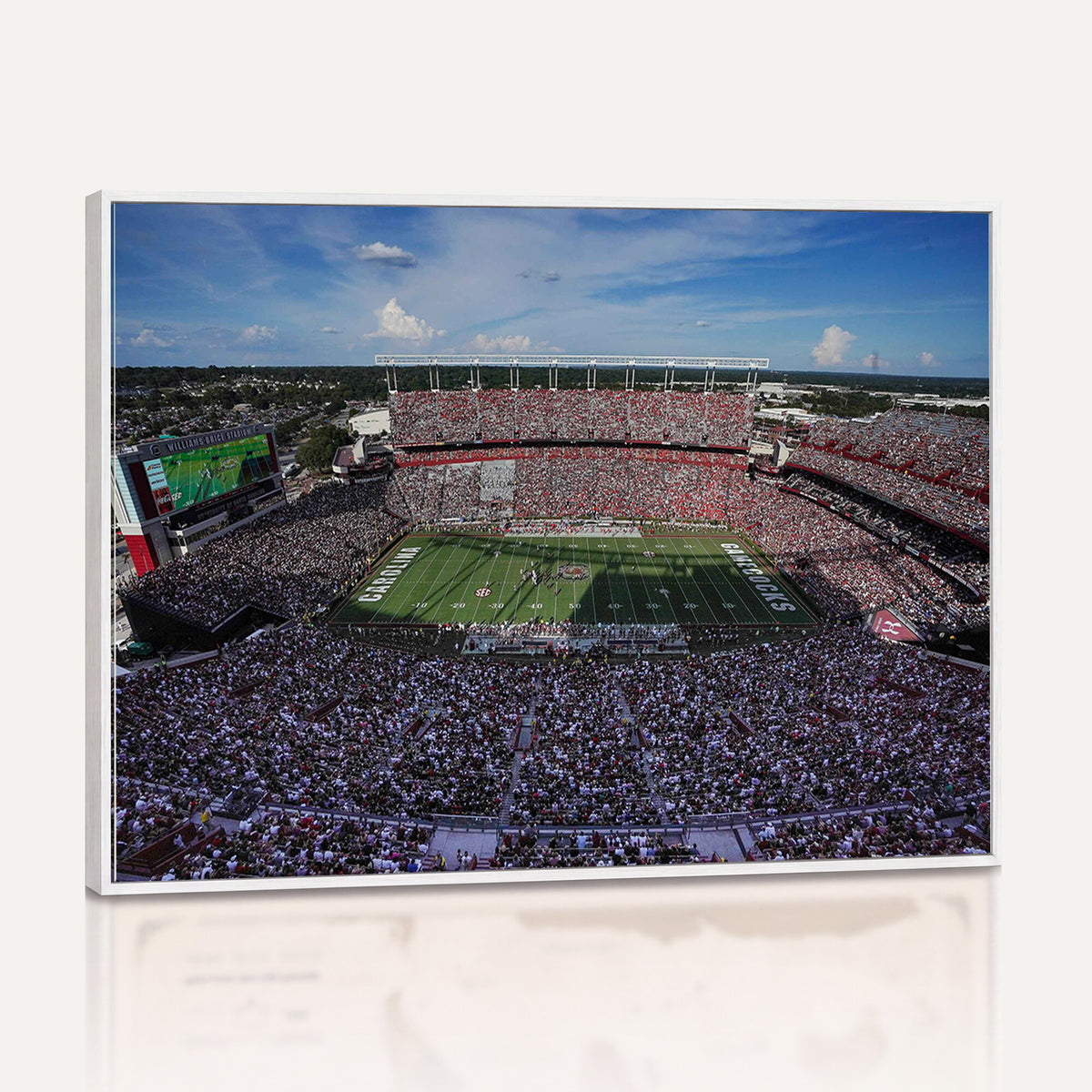 83382-MGV-CV-36X24 - South Carolina Gamecocks Football Team Print, Columbia Williams-Brice Stadium Wall Art