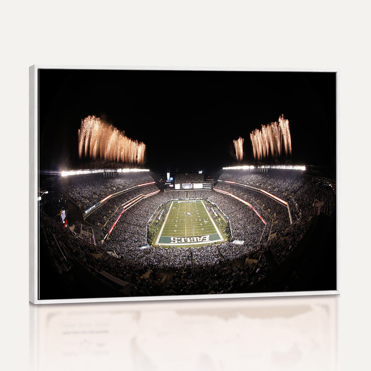 48893-MGV-CV-36X24 - Eagles Field Stadium Wall Art, Lincoln Financial Field