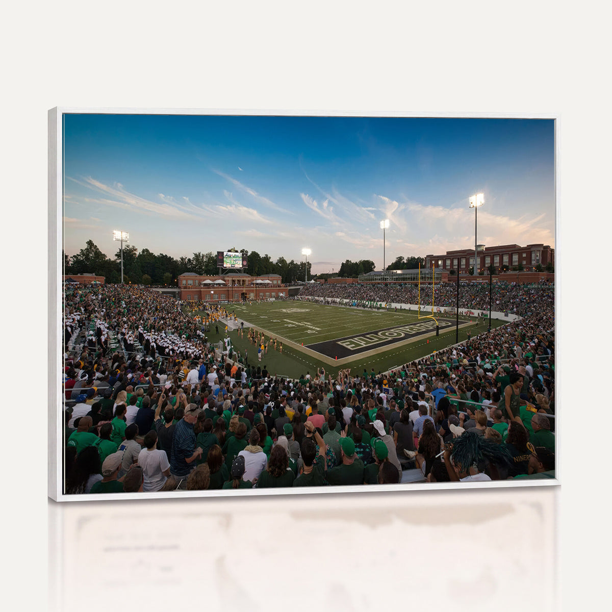 12290-MGV-CV-36X24 - University of Charlotte 49ers Football Team Print - Charlotte Jerry Richardson Stadium Wall Art