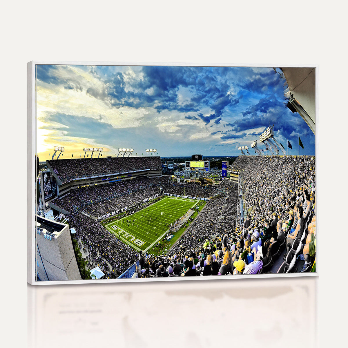 23788-MGV-CV-36X24 - Framed USF Bulls Football Team Print - Tampa Raymond James Stadium Wall Art Canvas Print